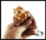 Squirrel in Stump - Adorable Pop Up - Cute Squeeze Toy - Fun Fidget - Unique OT Hand Strength, Fine Motor