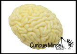 Brain Squishy Sticky Stress Ball - Body Parts - Anatomy