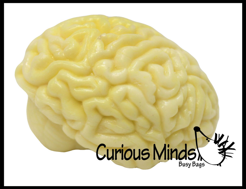 Brain Squishy Sticky Stress Ball - Body Parts - Anatomy