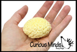 Brain Squishy Sticky Stress Ball - Body Parts - Anatomy