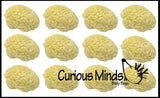 Brain Squishy Sticky Stress Ball - Body Parts - Anatomy