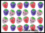LAST CHANCE - LIMITED STOCK - Strawberry Disc Ice Cold Pack Fruit Water Bead Filled Squeeze Stress Ball  -  Sensory, Stress, Fidget Toy