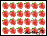 3" Strawberry Fruit Water Bead Filled Squeeze Stress Ball  -  Sensory, Stress, Fidget Toy