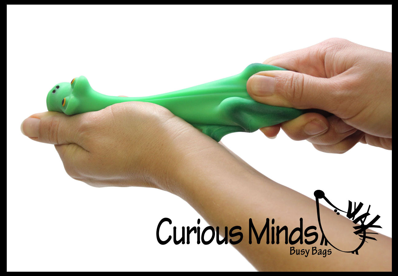Stretchy Frog Fidget Toys: Inexpensive Fidgets for the Classroom