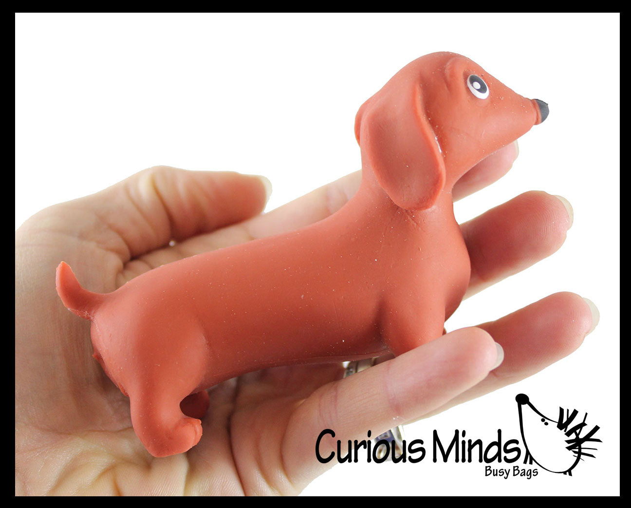 Curious Minds Busy Bags Set of 3 Different Breed Stretchy Dogs - Corgi,  Dachshund, and Bulldog - Crushed Bead Sand Filled - Doggy Lover Sensory  Fidget