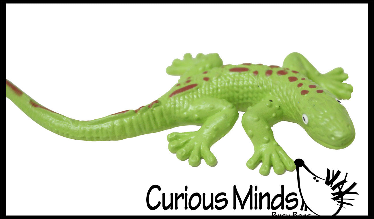Lizard Fidget LAST CHANCE - LIMITED STOCK - Stretchy Lizards - Sensory Fidget Toy ...