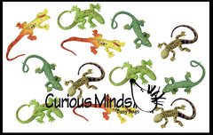 12 Stretchy Lizards - Sensory Fidget Toy
