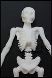 LAST CHANCE - LIMITED STOCK -Stretchy Skeleton - Fidgets - Anatomy - Halloween