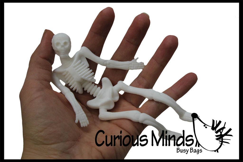 LAST CHANCE - LIMITED STOCK -Stretchy Skeleton - Fidgets - Anatomy - Halloween