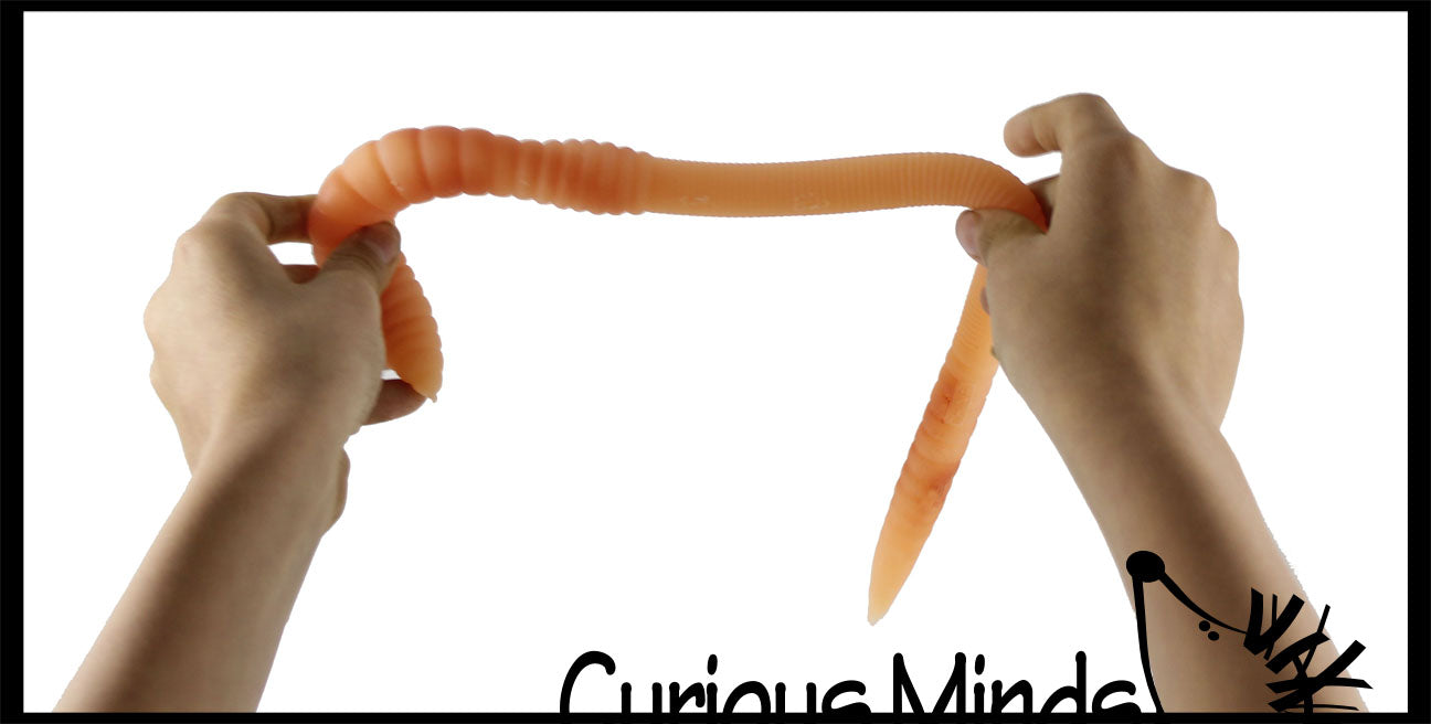 2 pezzi Fidget Worm Giocattolo, Fidgets Slug Giocattolo Sensoriali 2 pezzi Fidget Worm Giocattolo, Fidgets Slug Giocattolo Sensoriali
