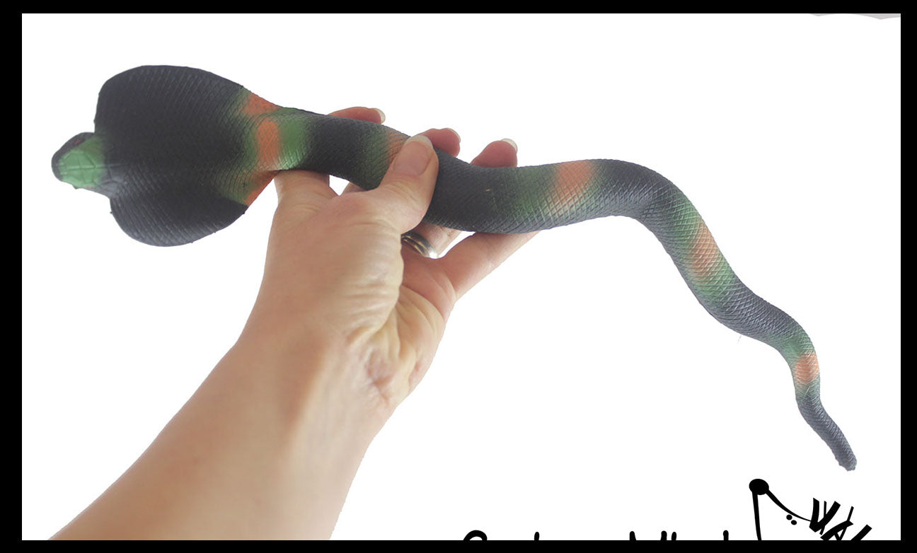 Stretchy Snakes Cobra 15.5" Crushed Bead Filled- Reptile Sensory Fidget Toy 12 Cobra Snakes (1 Dozen) - RANDOM Colors Stretchy Snakes Cobra 15.5" Crushed Bead Filled- Reptile Sensory Fidget Toy 12 Cobra Snakes (1 Dozen) - RANDOM Colors