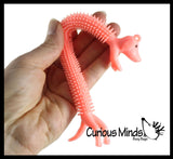 LAST CHANCE - LIMITED STOCK - SALE  -  Stretchy Dog Puffer Toys - Fun Long Stretch Toys - Soft & Flexible - Doggy Lover - Fidget Sensory Toy - Stretchy Noodle String