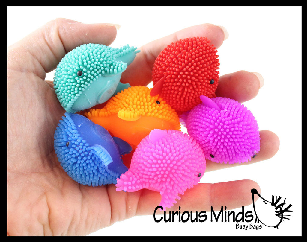 LAST CHANCE - LIMITED STOCK  - SALE - Mini Puffer Dolphins - Small Novelty Toy - Party Favors - Cute Tiny Fidget Toys - Dolphin Lover