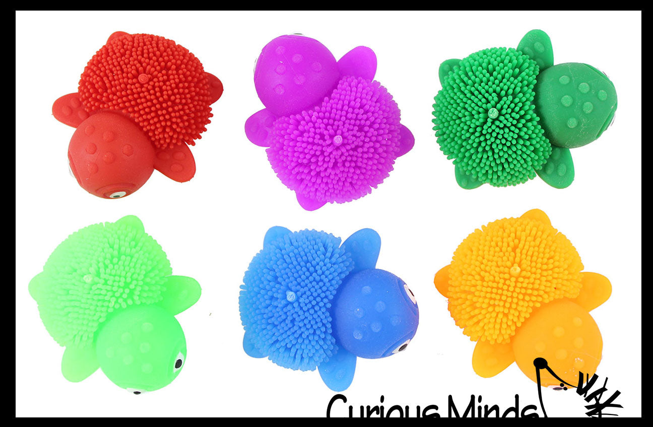 LAST CHANCE - LIMITED STOCK - SALE - Mini Puffer Turtles - Small Novel