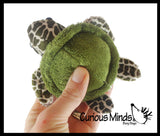 Cute Small Turtle Plush Stuffed Animals- Adorable Tiny Mini Plushie