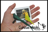 Animal Match - EXOTIC TROPICAL BIRDS - Miniature Animals with Matching Cards - 2 Part Cards.  Montessori learning toy, language materials