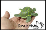 LAST CHANCE - LIMITED STOCK - Pooping Turtle Novelty Funny Gag Toy -  Sensory, Stress, Fidget Toy Party Favors