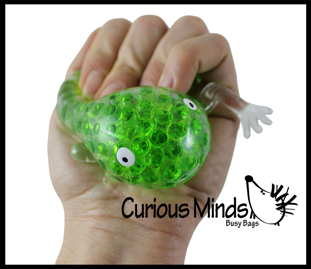 Large Frog Water Bead Filled Squeeze Stress Ball - Sensory, Stress, Fi