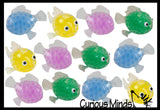 Sticky Fish Ceiling Target Balls - Throw Globs to Stick to Ceiling and Catch When it Falls - Fish Water Bead Filled Squeeze Stress Ball  -  Sensory, Stress, Fidget Toy