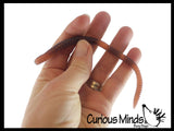 Stretchy Earthworm Stretchy Noodle Fidget Toys - Fun Realistic Worm Long Stretch Toys - Soft & Flexible - Fidget Sensory Toy - Stretchy Noodle String