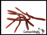 Stretchy Earthworm Stretchy Noodle Fidget Toys - Fun Realistic Worm Long Stretch Toys - Soft & Flexible - Fidget Sensory Toy - Stretchy Noodle String