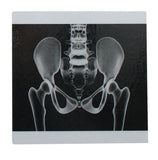 z ALPHABET OBJECTS BY LETTER X