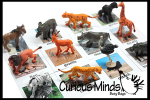 Melissa and Doug Food